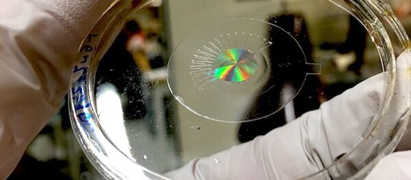 Ученые в Гарварде создали искусственный глаз Ученые в Гарварде создали искусственный глаз - Sputnik Южная Осетия