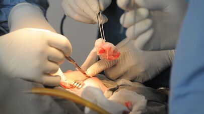 Клиника челюстно-лицевой хирургии
