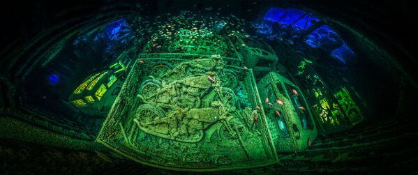 Снимок CYCLE-WAR немецкого фотографа Tobias Friedrich, победивший в конкурсе подводной фотографии 2018 Underwater Photographer of the Year - Sputnik Южная Осетия