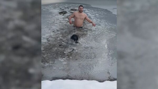 Канадец спас провалившуюся под лед собаку - Sputnik Южная Осетия