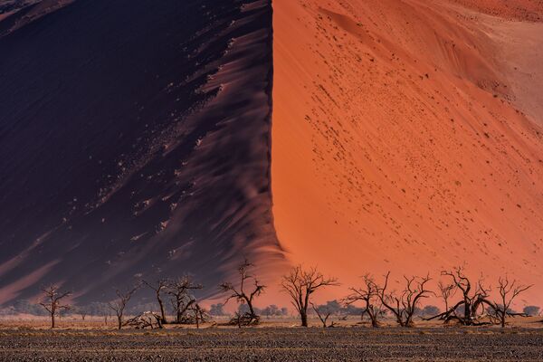 Снимок The Great wall of Namib тайского фотографа Paranyu Pithayarungsarit из категории Landscape & Nature (Open), вошедший в шортлист фотоконкурса 2018 Sony World Photography Awards - Sputnik Южная Осетия