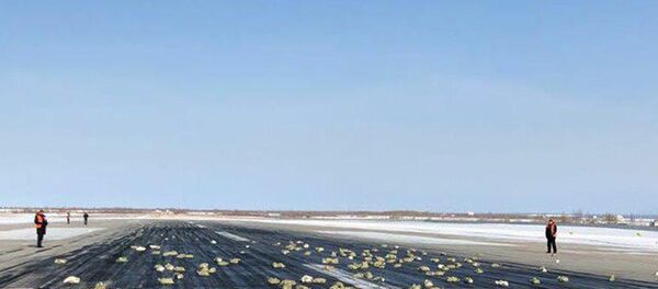 Сразу после вылета из Якутска у транспортного самолета Ан-12 с 9 тоннами золота на борту оторвало створку грузового люка. Большая часть слитков вывалилась и разлетелась по взлетной полосе и окрестностям - Sputnik Южная Осетия