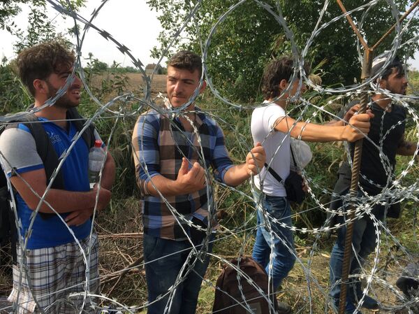 Ситуация на венгерско-сербской границе - Sputnik Южная Осетия