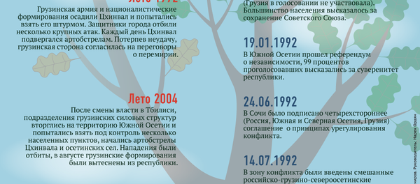 Республике Южная Осетия - 25 - Sputnik Южная Осетия