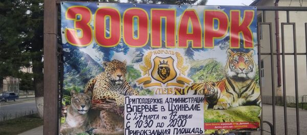 Зоопарк Король-ы афишæ Цхинвалы Зоопарк Король-ы афишæ Цхинвалы - Sputnik Хуссар Ирыстон