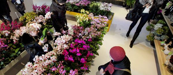 Цветочный магазин - Sputnik Южная Осетия