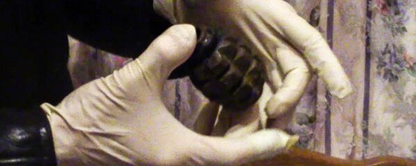 Изъятая граната Ф-1 Изъятая граната Ф-1 - Sputnik Хуссар Ирыстон