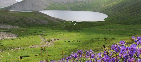 Александра Алборова Александра Алборова - Sputnik Южная Осетия