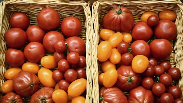 3-я международная специализированная выставка Импортозамещение - Sputnik Южная Осетия