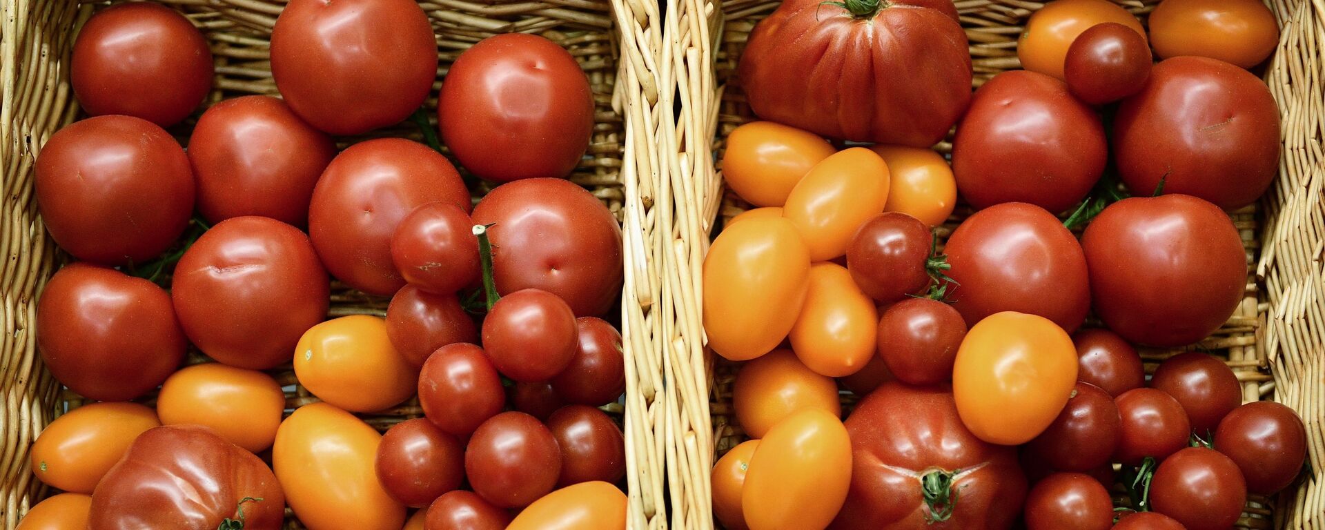 3-я международная специализированная выставка Импортозамещение - Sputnik Южная Осетия, 1920, 26.03.2021