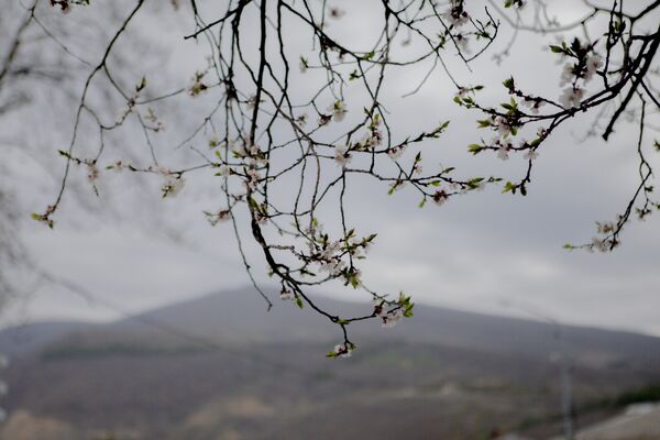 Весна в Цхинвале - Sputnik Южная Осетия