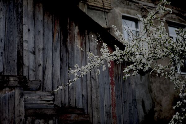 Весна в Цхинвале - Sputnik Южная Осетия