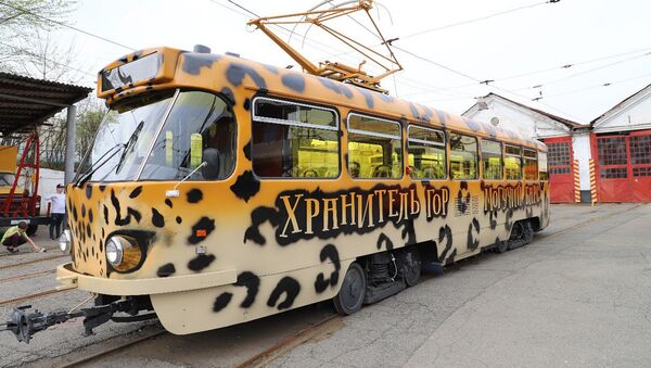  12-й обновленный вагон - Sputnik Южная Осетия