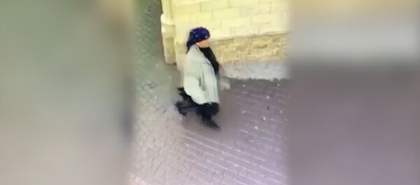 Полицейские УМВД России по г. Владикавказ задержали подозреваемую в совершении кражи из магазина Полицейские УМВД России по г. Владикавказ задержали подозреваемую в совершении кражи из магазина - Sputnik Южная Осетия