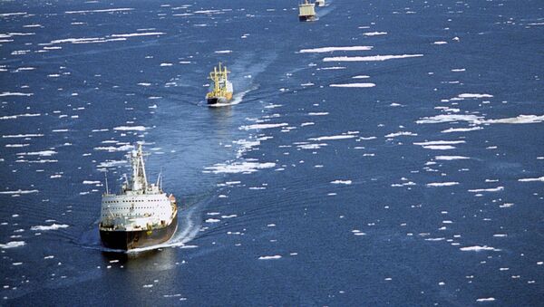Караван транспортных судов в сопровождении ледоколов проходит по Северному морскому пути - Sputnik Южная Осетия