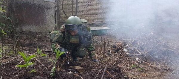 Обнаружена граната на приусадебном участке - Sputnik Южная Осетия