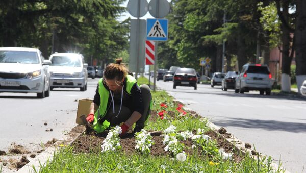 Сотрудники благоустройства высаживают в Цхинвале  цветы - Sputnik Южная Осетия