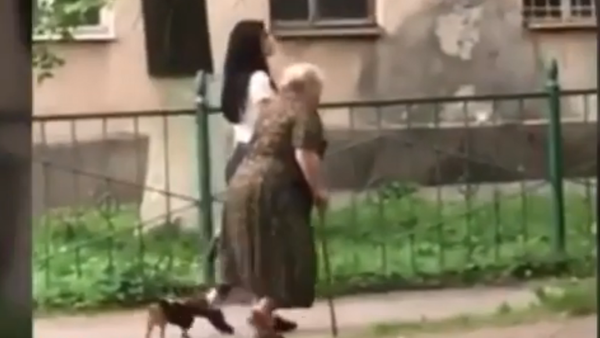 Добрая девушка помогла старушке и стала знаменитой во Владикавказе - Sputnik Южная Осетия