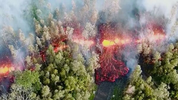 Лава в лесу после извержения вулкана Килауэа на Гавайях - Sputnik Южная Осетия