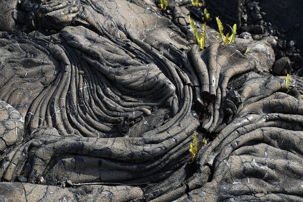 Застывшая лава после извержения вулкана Килауэа на Гавайях - Sputnik Южная Осетия