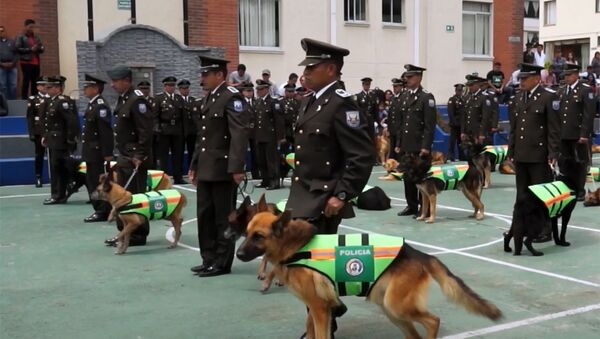 Почетные проводы полицейских собак в Эквадоре - Sputnik Южная Осетия