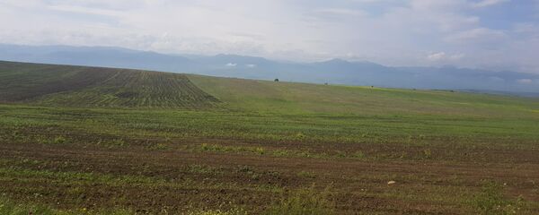 Хлебороб из Южной Осетии Лавер Джиоев  Хлебороб из Южной Осетии Лавер Джиоев  - Sputnik Южная Осетия