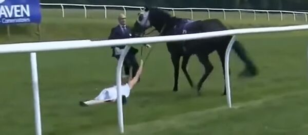 Журналистка остановила лошадь на скаку Журналистка остановила лошадь на скаку - Sputnik Южная Осетия