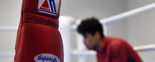 Бокс, боксерские перчатки Бокс, боксерские перчатки - Sputnik Южная Осетия
