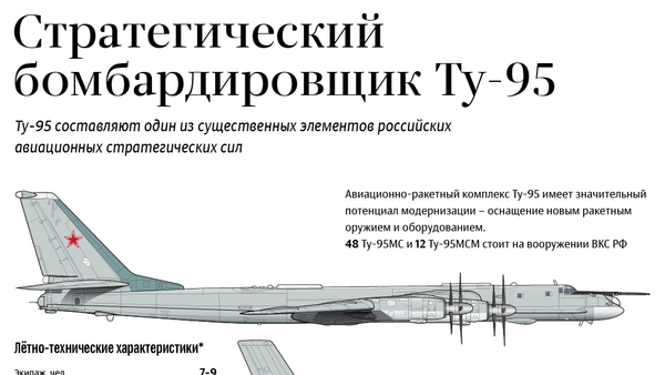 Стратегический бомбардировщик Ту-95 - Sputnik Южная Осетия