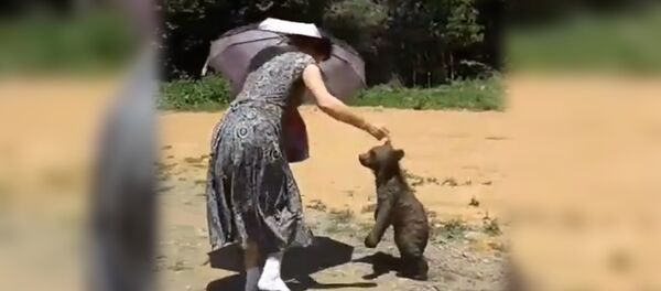 Медвеженок Медвеженок - Sputnik Южная Осетия