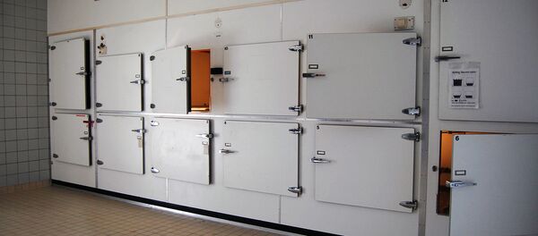 Leichenhaus (Symbolbild) Leichenhaus (Symbolbild) - Sputnik Южная Осетия
