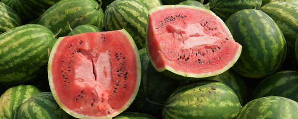 Сбор арбузов в Абхазии - Sputnik Южная Осетия