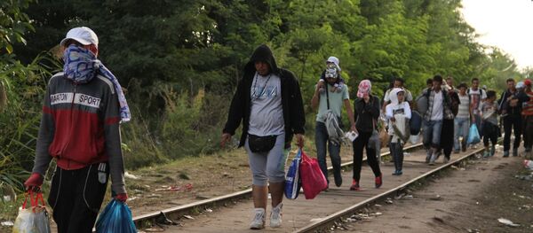 Ситуация на венгерско-сербской границе Ситуация на венгерско-сербской границе - Sputnik Южная Осетия