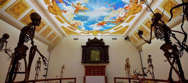 Музей науки и медицины Германа Бургаве в городе Лейден в Нидерландах Музей науки и медицины Германа Бургаве в городе Лейден в Нидерландах - Sputnik Южная Осетия