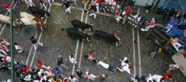 Прогон быков - самая зрелищная часть знаменитого праздника Сан-Фермин в испанском городе Памплоне. Прогон быков - самая зрелищная часть знаменитого праздника Сан-Фермин в испанском городе Памплоне. - Sputnik Южная Осетия