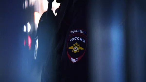 Нашивка на рукаве сотрудника полиции в России, архивное фото
