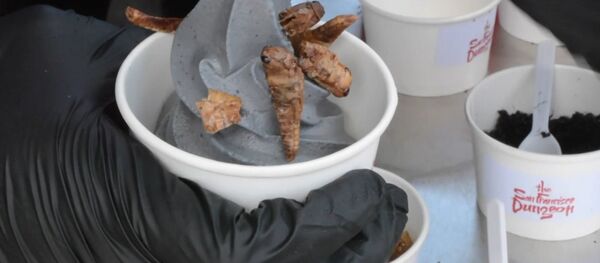 Лакомство не для слабонервных: мороженое с червями и насекомыми Лакомство не для слабонервных: мороженое с червями и насекомыми - Sputnik Южная Осетия