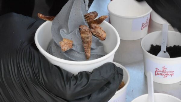 Лакомство не для слабонервных: мороженое с червями и насекомыми - Sputnik Южная Осетия