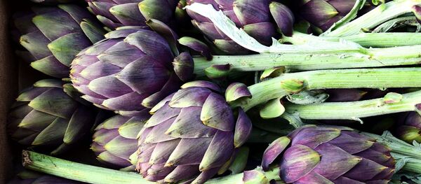 Артишок - Sputnik Южная Осетия