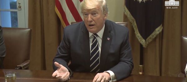 Трамп заявил о вмешательстве России в американские выборы - Sputnik Южная Осетия