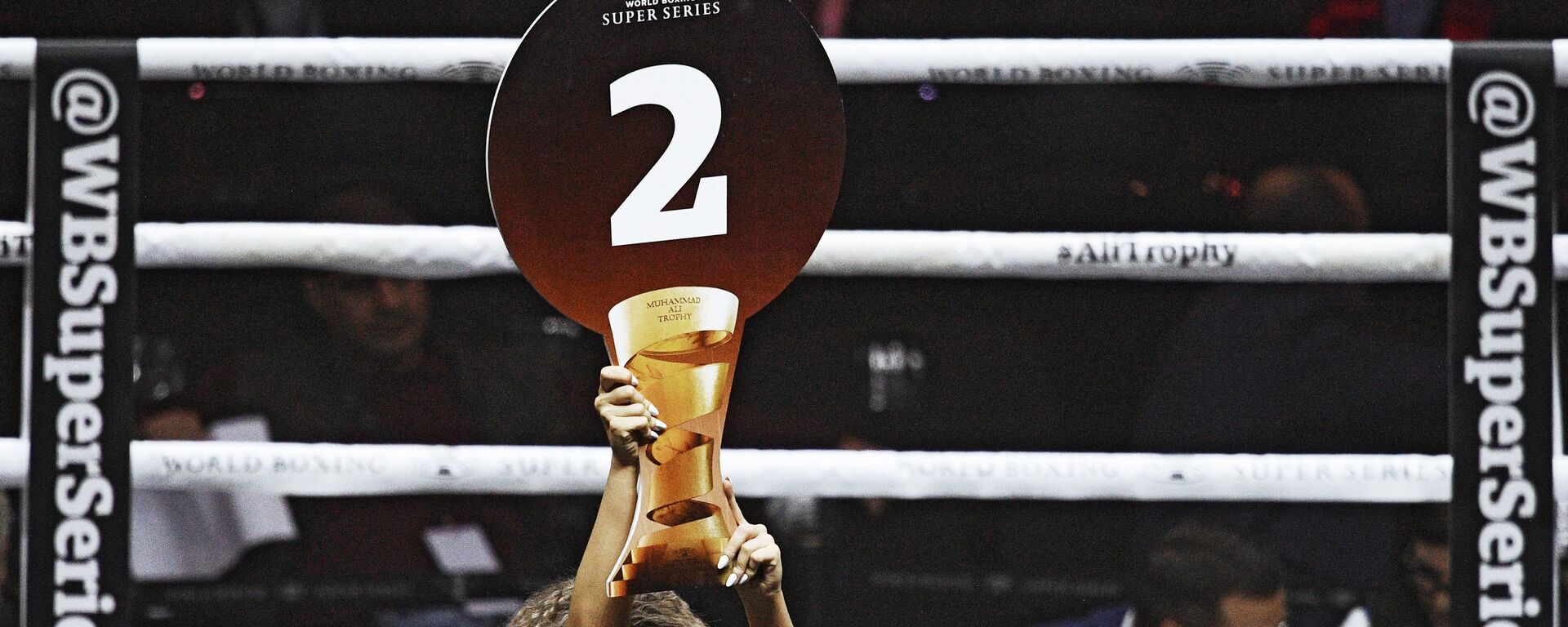 Поединок боксерской суперсерии. Архивное фото - Sputnik Южная Осетия, 1920, 28.03.2026