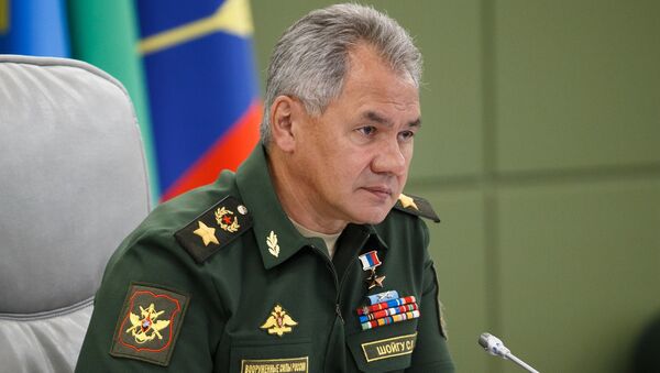 Министр обороны РФ Сергей Шойгу - Sputnik Южная Осетия