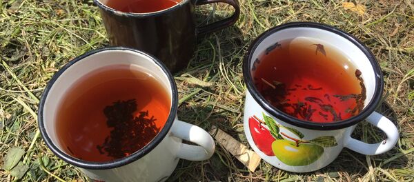 Чай Чай - Sputnik Южная Осетия