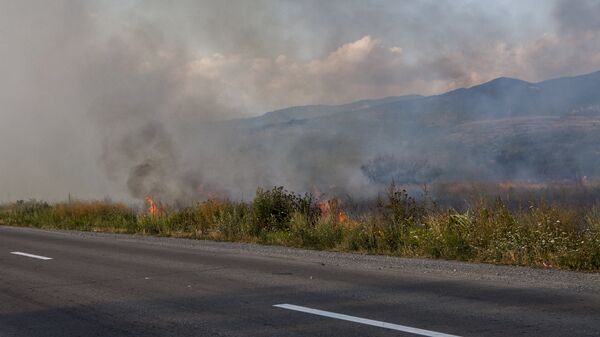 Лесной пожар в Южной Осетии - Sputnik Южная Осетия