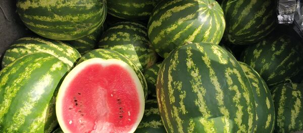 Знаурские арбузы Знаурские арбузы - Sputnik Южная Осетия