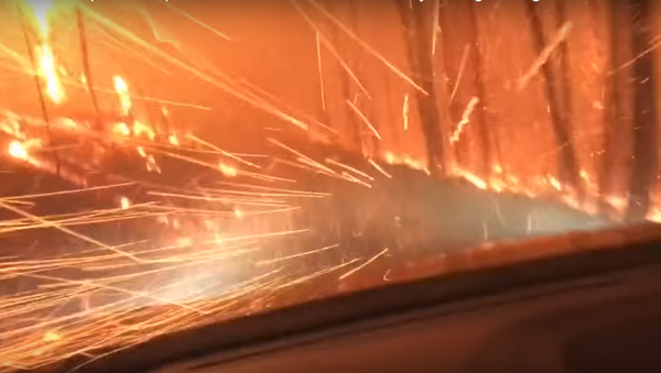 Отец с сыном едут сквозь огонь во время лесного пожара - Sputnik Южная Осетия