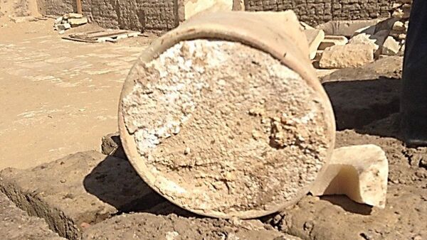 Сыр, найденный в гробнице мэра Мемфиса в Саккаре - Sputnik Южная Осетия