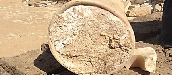 Сыр, найденный в гробнице мэра Мемфиса в Саккаре - Sputnik Южная Осетия