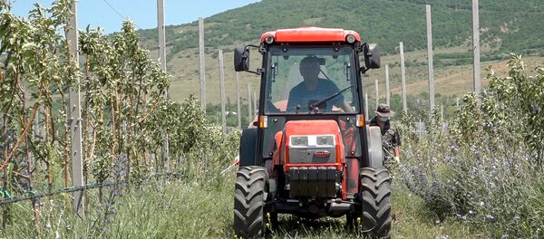 Экономические проекты в Южной Осетии Экономические проекты в Южной Осетии - Sputnik Хуссар Ирыстон