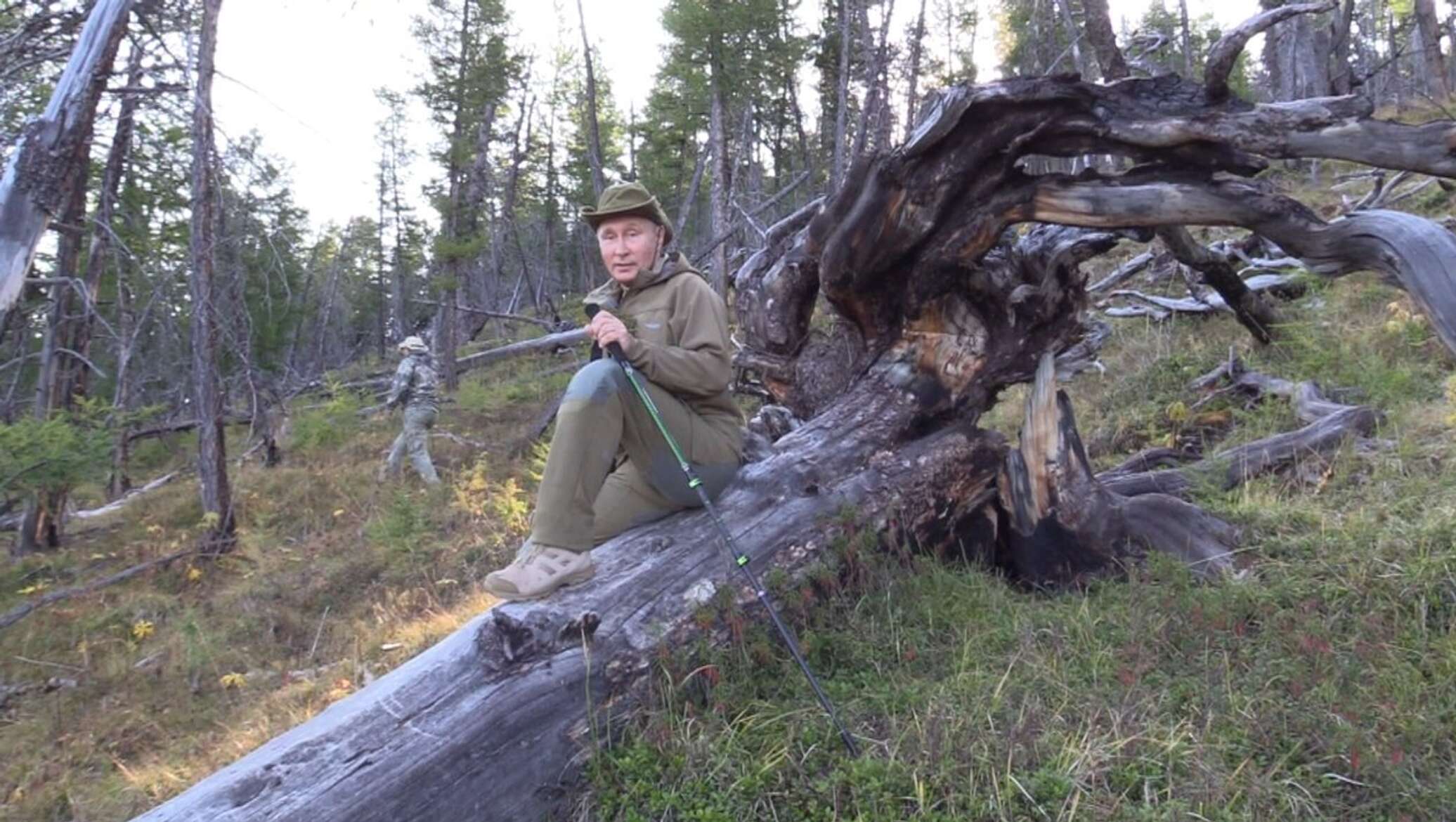 Лесное зимовье. Зимовье охотника в тайге. Изба зимовье карелия. Отшельники в тайге. Скрывался в тайге.